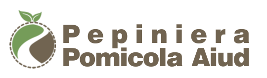 pepiniera pomicola aiud Pepiniera pomicola aiud